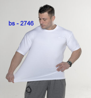 Футболка BigSam 2746 за 2 140 руб. 
