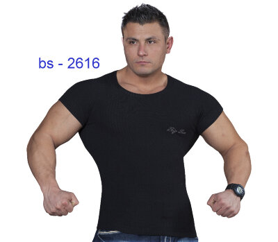 Футболка BigSam 2616 за 2 360 руб. 