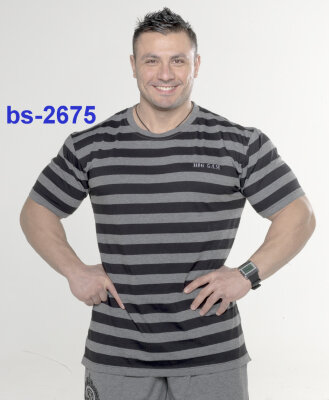 Футболка BigSam 2675 за 2 250 руб. 