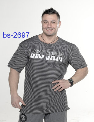 Футболка BigSam 2697 за 2 250 руб. 
