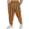 Спортивные штаны Big Sam PNT1410-orange