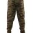 Спортивные штаны BS-PNT1346-Green за 4 070 руб. Спортивные штаны BS-PNT1346-Green за 4 070 руб.