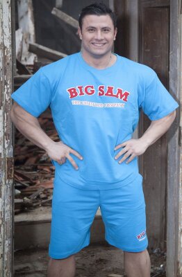 Шорты Big Sam 1395 за 2 680 руб. Модные, мужские спортивные шорты. Голубого цвета. Легкая ткань.