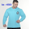Толстовка BigSam 4593