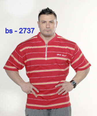 Футболка BigSam 2737 за 2 360 руб. 