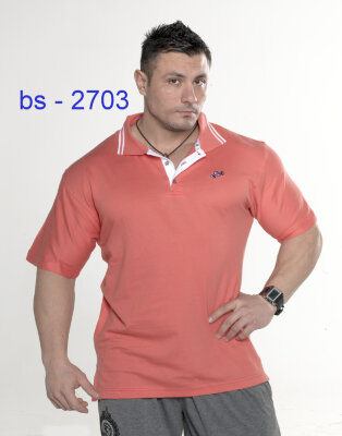 Футболка BigSam 2703 за 2 250 руб. 